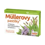 12537_MULLEROVY PASTILKY S JITROCELEM A MATERIDOUSKOU 12KS